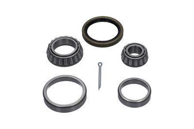 Kavo Parts Rato guolio komplektas