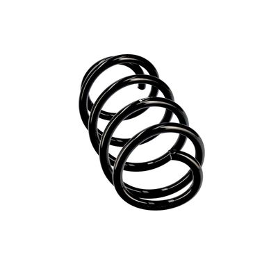 ARC SPIRAL EIBACH R10806 24