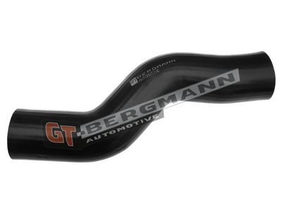 GT-BERGMANN Automotive - Hadica plniaceho vzduchu (hadica turba) VW , GT52-122
