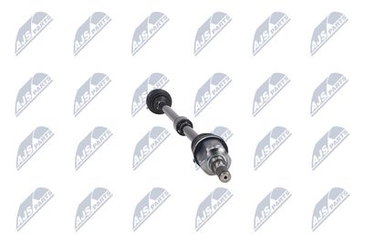 PLANETARA NTY NPWCH062 14