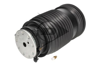 LUFTFEDER FAHRWERK AIC 74261 1