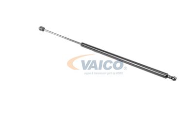 GASFEDER KOFFER-/LADERAUM VAICO V460438 42