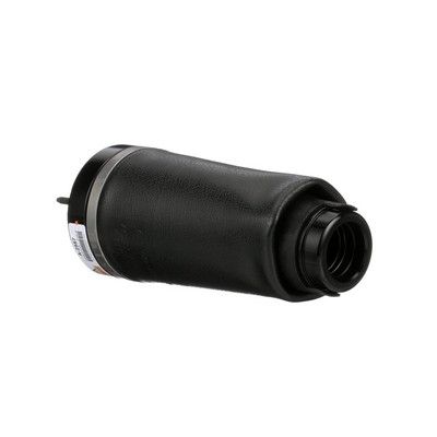 LUFTFEDER FAHRWERK Arnott A2587 19