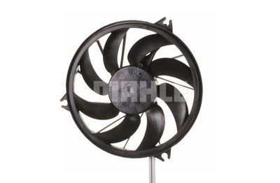 VENTILATOR RADIATOR MAHLE CFF293000P 2