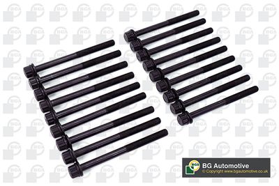 SET SURUB CHIULASA BGA BK3600