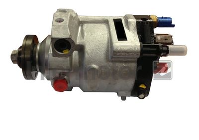 Injection Pump Intermotor 88070