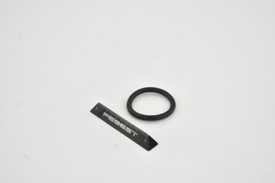 GARNITURA FLANSA LICHID RACIRE FEBEST TTTRAFII 8