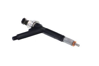 INJECTOR REMANTE 002003000084R 51