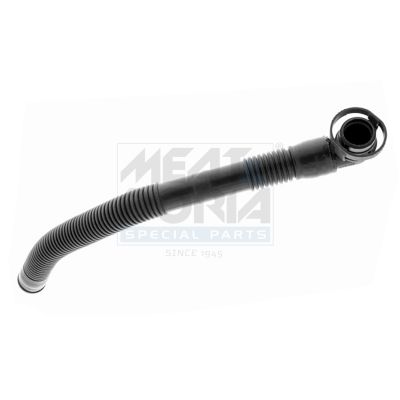 FURTUN EAR SUPRAALIMENTARE