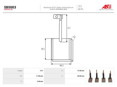 Kolborste, startmotor AS-PL SB5003