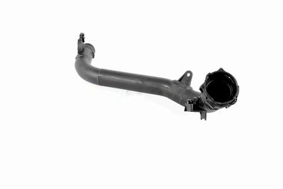 FURTUN EAR SUPRAALIMENTARE ACKOJA A380387 2