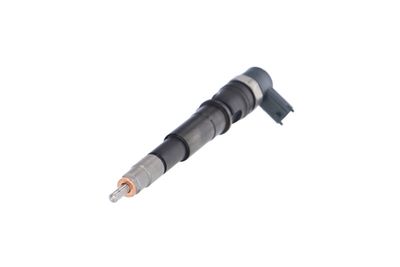 INJECTOR REMANTE 002003001201R 61