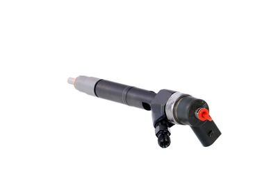 INJECTOR REMANTE 002003001100R 19