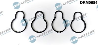 Прокладка, впускной коллектор Dr.Motor Automotive DRM0684