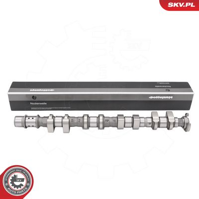 Vačkový hřídel ESEN SKV 80SKV049