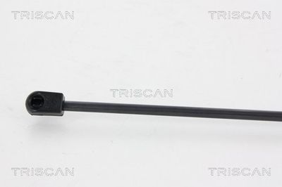 Amortizor portbagaj TRISCAN 8710 24235