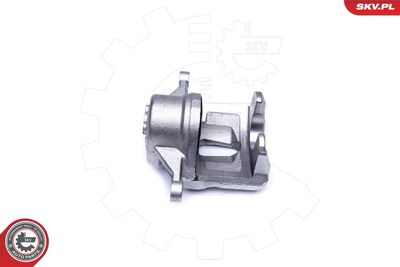 Brake Caliper 42SKV481