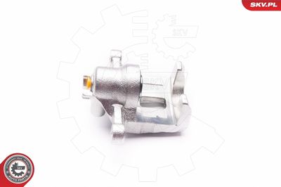 Brake Caliper 23SKV613