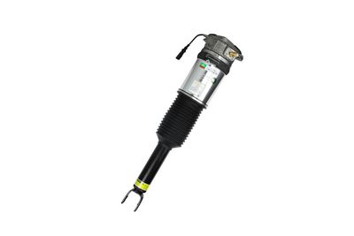 LUFTFEDERBEIN Arnott AS2958 72