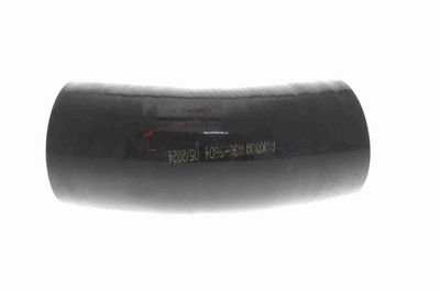 FURTUN EAR SUPRAALIMENTARE ACKOJA A389604 6