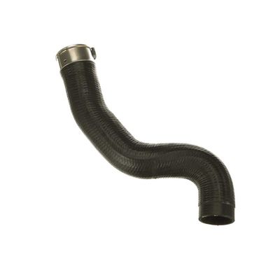 FURTUN EAR SUPRAALIMENTARE GATES 091624 64