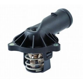 TERMOSTAT LICHID RACIRE