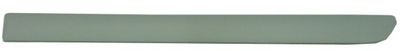 Rear door right moulding MTR 11545435
