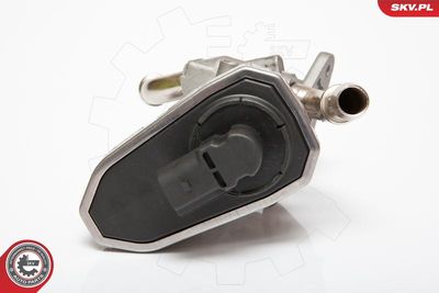 EGR Valve 14SKV044