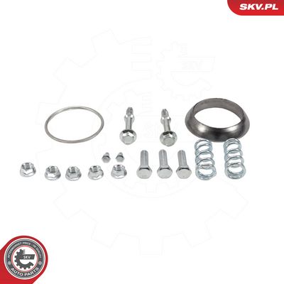 катализатор ESEN SKV 62SKV160