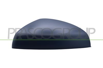 ACOPERIRE OGLINDA EXTERIOARA