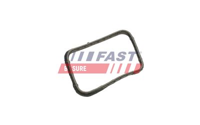 Těsnění, termostat FAST FT58302