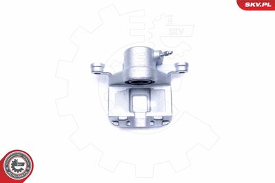 Brake Caliper 42SKV773