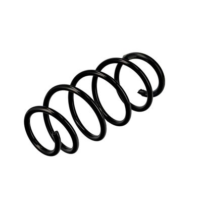 ARC SPIRAL EIBACH R10096 16