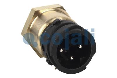 Vorschau Sensor, Öldruck Ansicht 2