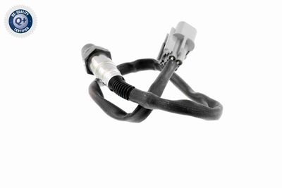 SONDA LAMBDA ACKOJA A53760012 6