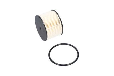 FILTRU COMBUSTIBIL AMC Filter FFF10101 20