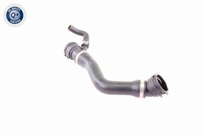 KüHLERSCHLAUCH VAICO V201331 6