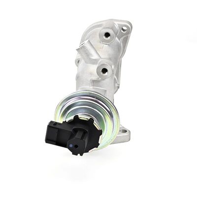 SUPAPA EGR DELPHI EG1063912B1 21