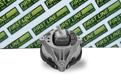 окачване, двигател FIRST LINE FEM4379