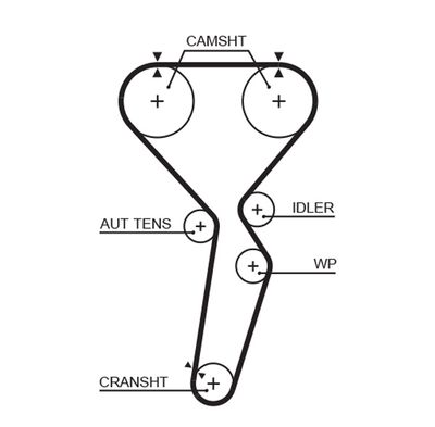 Timing Belt GATES 5585XS