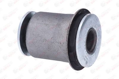 SUPORT TRAPEZ BIRTH 2919 9