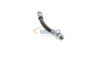 FURTUN FRANA VAICO V104114 35