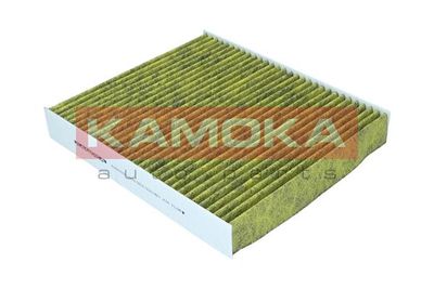 Filter, cabin air 6080029