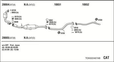 SISTEM DE ESAPAMENT WALKER TOK022467AB