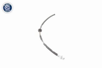 FURTUN FRANA VAICO V204119 7