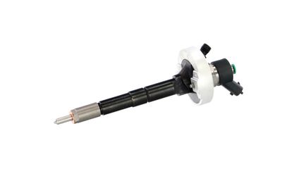 INJECTOR REMANTE 002003001315R 10