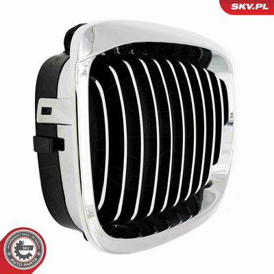 GRILA RADIATOR ESEN SKV 66SKV070 8