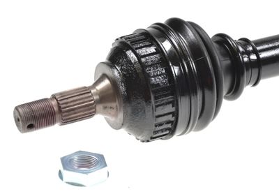 Drive Shaft 303253