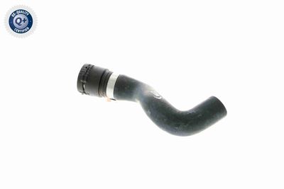 FURTUN RADIATOR VAICO V201771 2