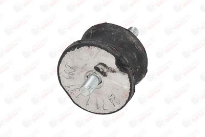 SUPORT MOTOR BIRTH 5283 11